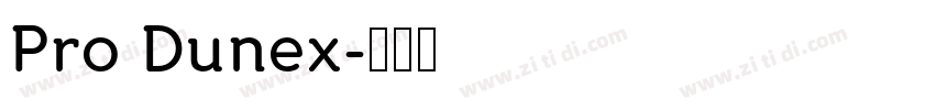 Pro Dunex字体转换